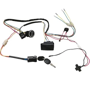 6V 12V Children Electric Car DIY Wires Harness Conversion Kit for Ride On Toy Cars Self-Made Power Wheels Conversion Harness Upgrade Kits Trax Replacement Parts