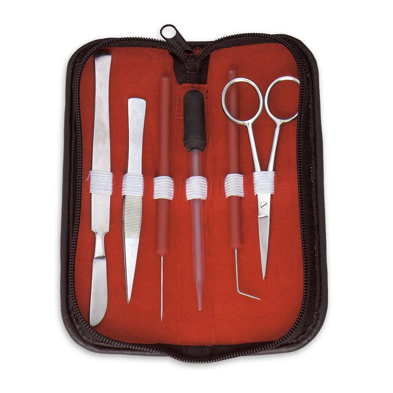 Anatomy Lab Dissection Kit with Scalpel Dissecting Tools PPE for Anatomy Biology Students, Medium Tray