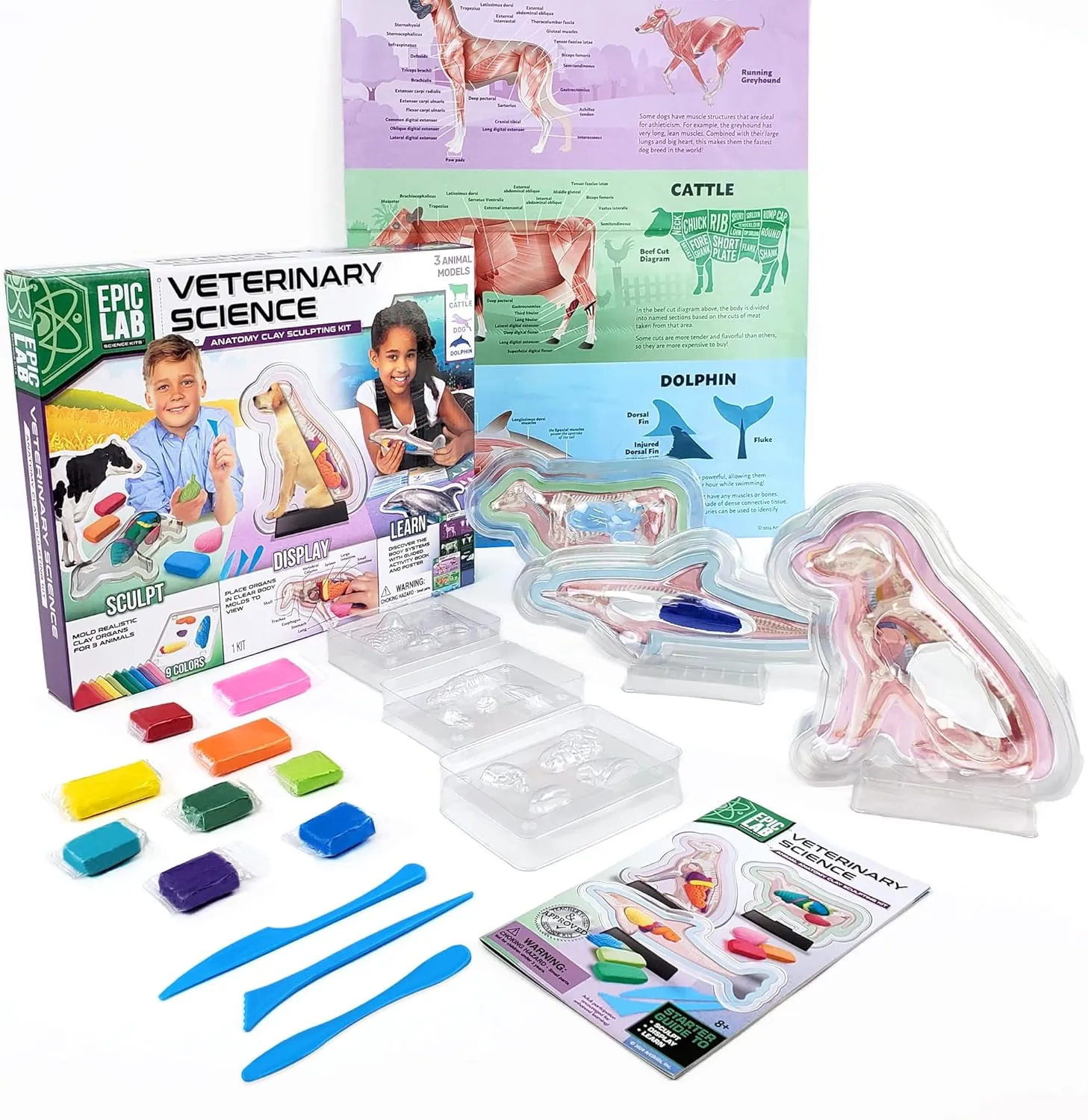 ArtSkills Epic Lab Vet Kit for Kids, Animal Anatomy Science Kit for Kids 8  with Modeling Clay