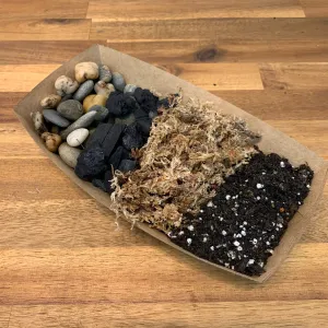 Basic Soil Terrarium DIY Kit