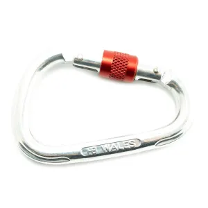 Carabiner Screwgate