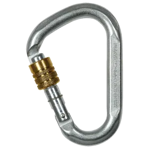 Climbing Technology SNAPPY STEEL SG Screw Gate 40kN carabiner