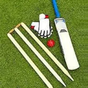 Cricket basic kit