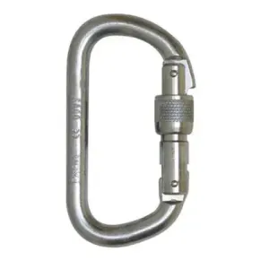 Foin D Shape Steel Carabiner - Screwgate