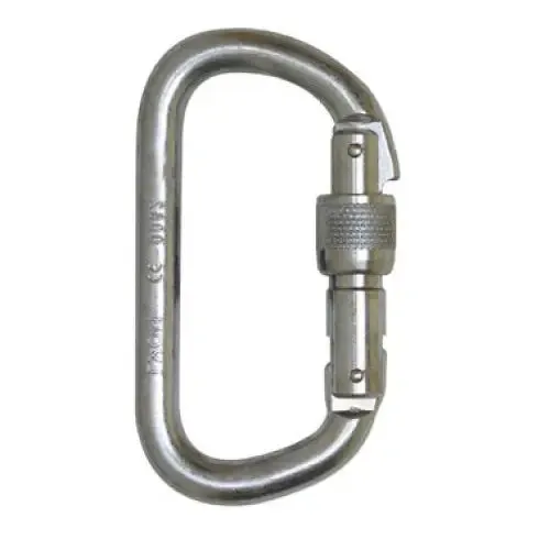 Foin D Shape Steel Carabiner - Screwgate