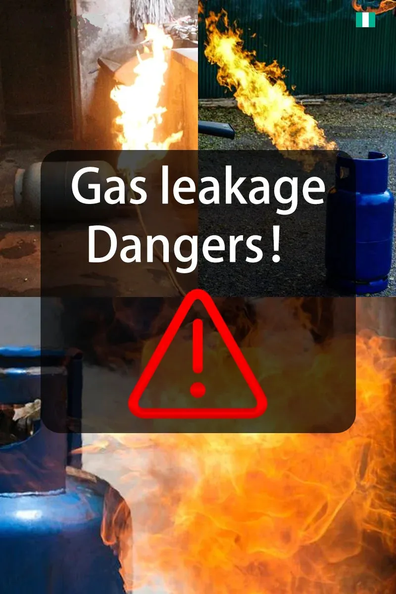 Portable Combustible Gas Leak Detector – Natural Gas Sniffer with Audible & Visual Alarm for Propane, Methane, LPG & More