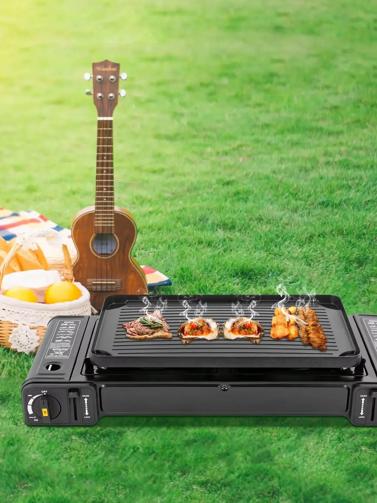 Portable Two Burner Gas Camping Stove