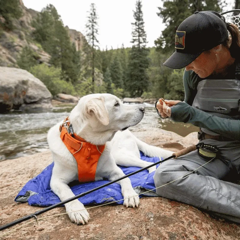 Ruffwear Highlands Dog Sleeping Bag