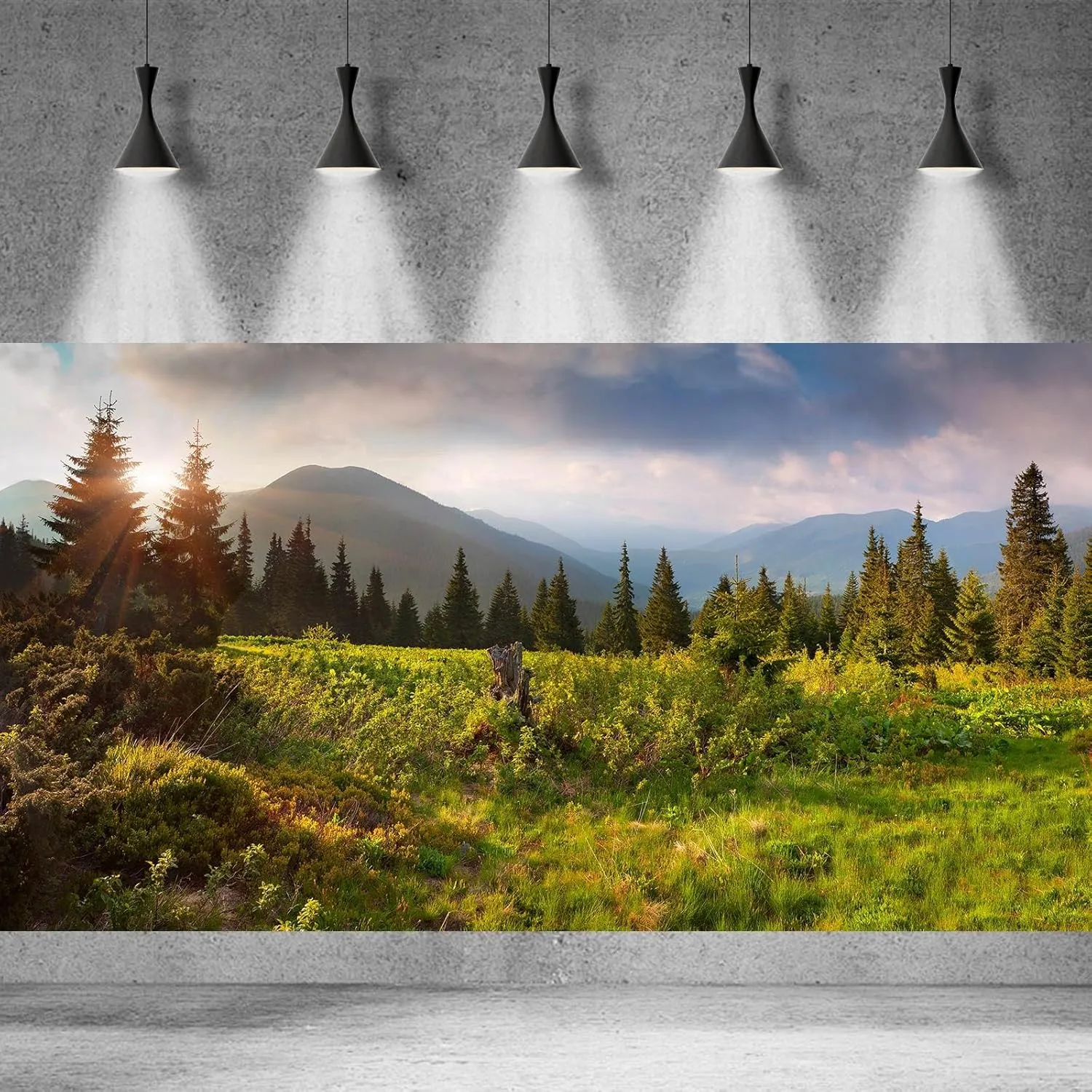 Spring Natural Scenery Background Mountains Trees Green Grass Jungle Photography Backdrop Sunshine Pine Tree Photography Background for Adults Portraits Photo Studio Decor 20x10ft