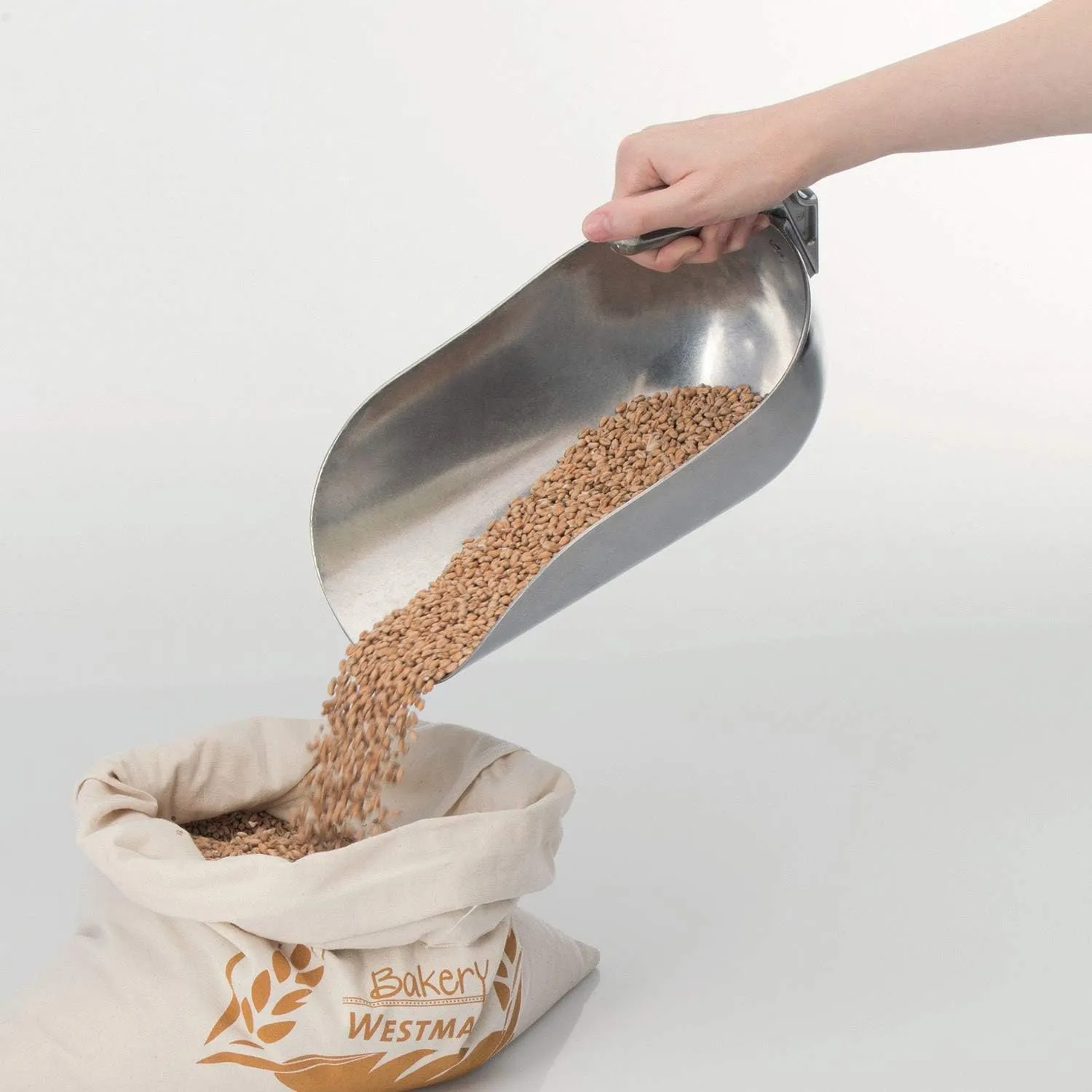 westmark Scoop, 12.2 x 6.6 x 7.5 inches, Silver